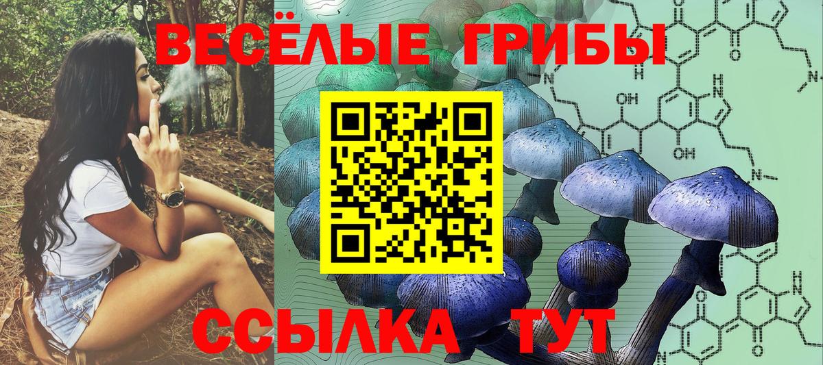 Ефремов  Псилоцибиновые грибы MAGIC MUSHROOMS  Псилоцибиновые грибы MAGIC MUSHROOMS  Вход с VPN 